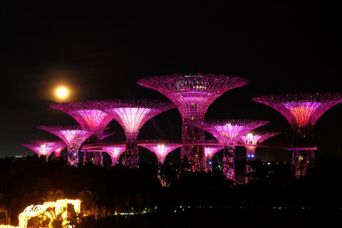 Gardens by the Bay - Thế giới diệu kỳ ở Singapore  - Ảnh 11.