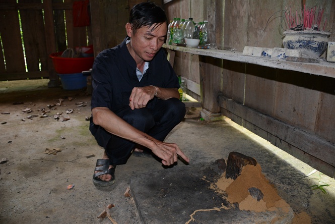 C&oacute; một rừng quế thi&ecirc;ng, thu hơn 500 tỉ mỗi năm - Ảnh 4.