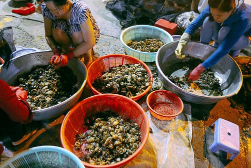 Chợ “độc” ở Sài Gòn, gần nửa thế kỷ chỉ bán một mặt hàng lúc nửa đêm  - Ảnh 13.
