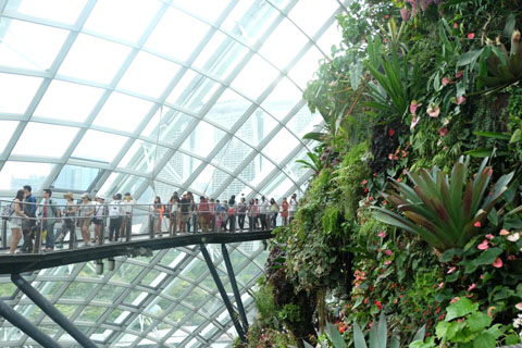 Gardens by the Bay - Thế giới diệu kỳ ở Singapore  - Ảnh 15.