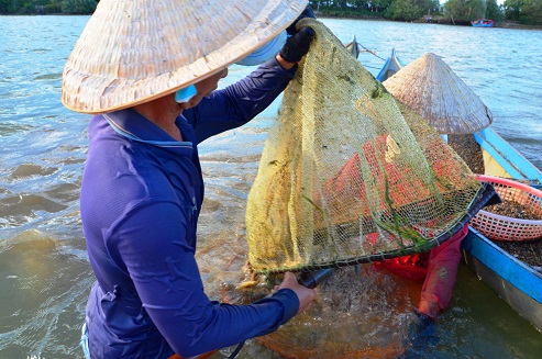 Nghề độc “vợ chồng cùng ngâm mình lấy ngày nửa triệu - Ảnh 5.