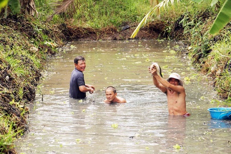 Mùa mưa, dân phố đổ đi săn đặc sản vườn - Ảnh 3.