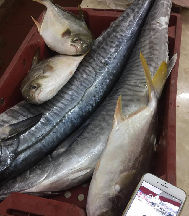 Tiết lộ sốc của một chủ h&agrave;ng chuy&ecirc;n b&aacute;n c&aacute; thu - Ảnh 3.