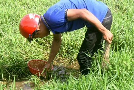 Thương lái Trung Quốc mua đỉa giá tới 600.000 đồng/kg để làm gì? - Ảnh 3.