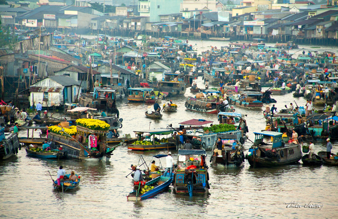 Ngao du toàn cảnh đời sống miền Tây mùa nước nổi - Ảnh 3. Ngao du toàn cảnh đời sống miền Tây mùa nước nổi - Ảnh 3.