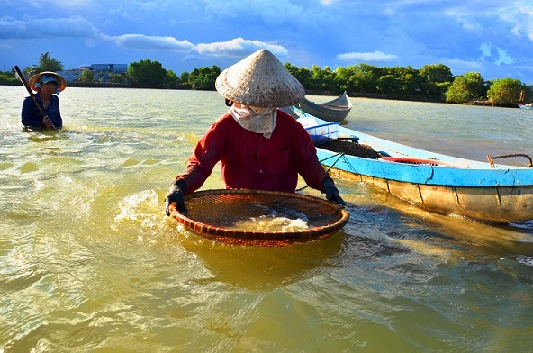 Nghề độc “vợ chồng cùng ngâm mình lấy ngày nửa triệu - Ảnh 1.