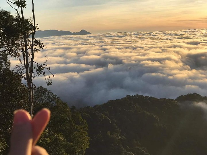 Săn mây ở Đỉnh Quế - Sa Pa miền Trung - Ảnh 3. Săn mây ở Đỉnh Quế - Sa Pa miền Trung - Ảnh 3.