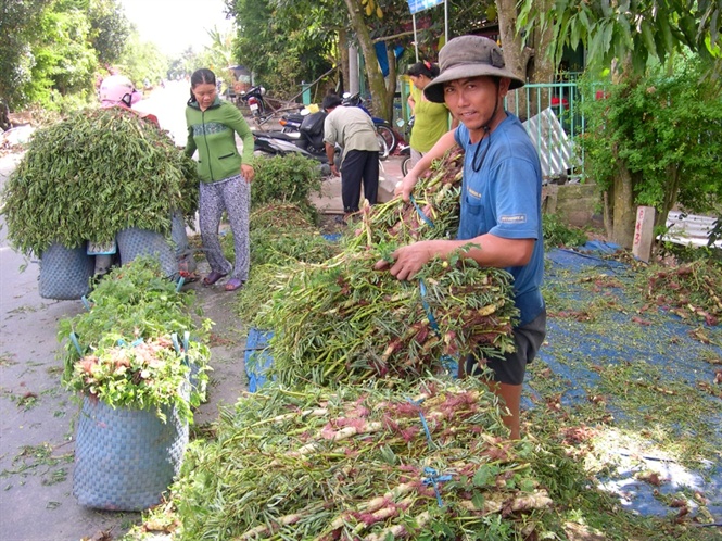 Cận cảnh săn, bắt, hái, lượm  mùa nước nổi - Ảnh 21.