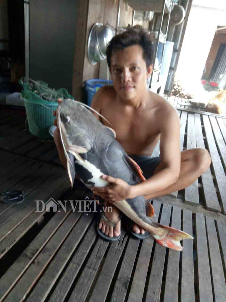 B&iacute; ẩn &ldquo;thủy qu&aacute;i&rdquo; c&oacute; r&acirc;u d&agrave;i v&ugrave;ng Amazon tr&ecirc;n s&ocirc;ng Hậu - Ảnh 7.