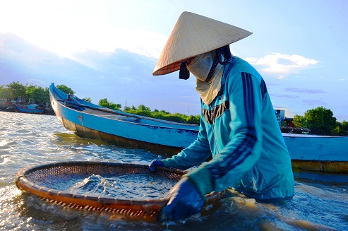 Nghề độc “vợ chồng cùng ngâm mình lấy ngày nửa triệu - Ảnh 8.