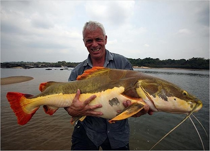 B&iacute; ẩn &ldquo;thủy qu&aacute;i&rdquo; c&oacute; r&acirc;u d&agrave;i v&ugrave;ng Amazon tr&ecirc;n s&ocirc;ng Hậu - Ảnh 8.