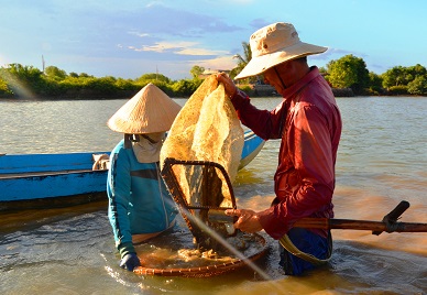 Nghề độc “vợ chồng cùng ngâm mình lấy ngày nửa triệu - Ảnh 9.