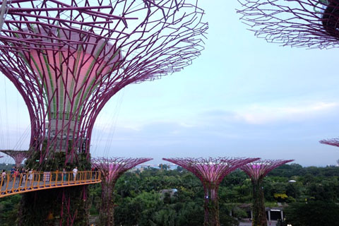 Gardens by the Bay - Thế giới diệu kỳ ở Singapore  - Ảnh 4.