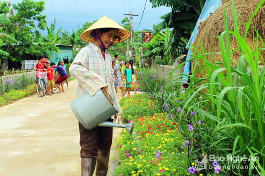 Đẹp ngỡ ngàng con đường hoa ở miền quê Nghệ An - Ảnh 4.