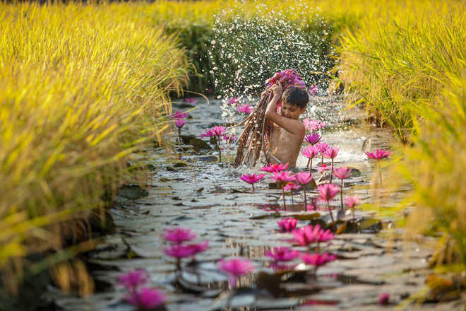 Ngao du toàn cảnh đời sống miền Tây mùa nước nổi - Ảnh 4. Ngao du toàn cảnh đời sống miền Tây mùa nước nổi - Ảnh 4.