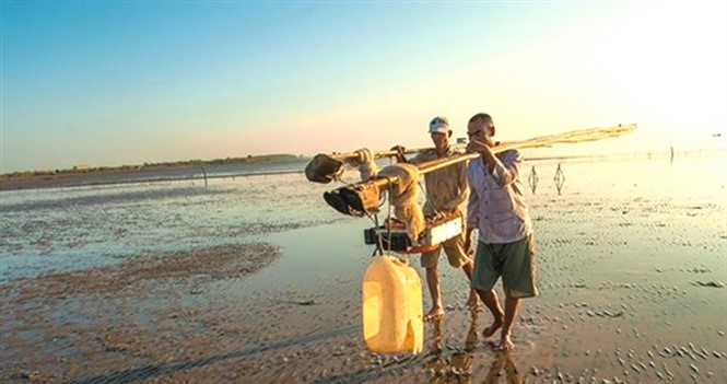 Sớm mai ghé bến cá Đèn Đỏ, kiếm cá độc ăn chơi - Ảnh 3. Sớm mai ghé bến cá Đèn Đỏ, kiếm cá độc ăn chơi - Ảnh 3.