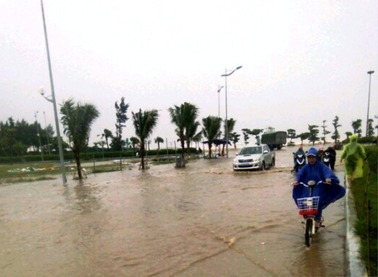 Bão số 10: Cuồng phong quét qua, nhà tốc mái, cây đổ la liệt - Ảnh 16.