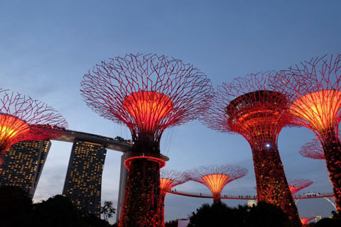 Gardens by the Bay - Thế giới diệu kỳ ở Singapore  - Ảnh 5.