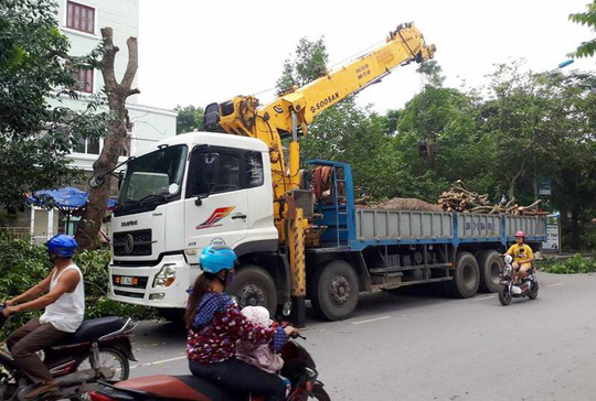 Miền Trung hối hả ứng phó siêu bão - Ảnh 34.