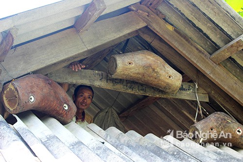 Kỳ thú chuyện săn ong giống ở xứ Nghệ - Ảnh 5.