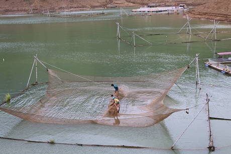 Mỏi tay bắt cá trên sông Đà - Ảnh 2.