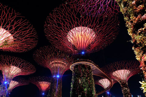 Gardens by the Bay - Thế giới diệu kỳ ở Singapore  - Ảnh 7.