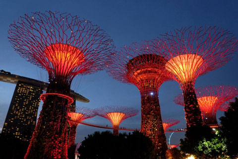 Gardens by the Bay - Thế giới diệu kỳ ở Singapore  - Ảnh 9.