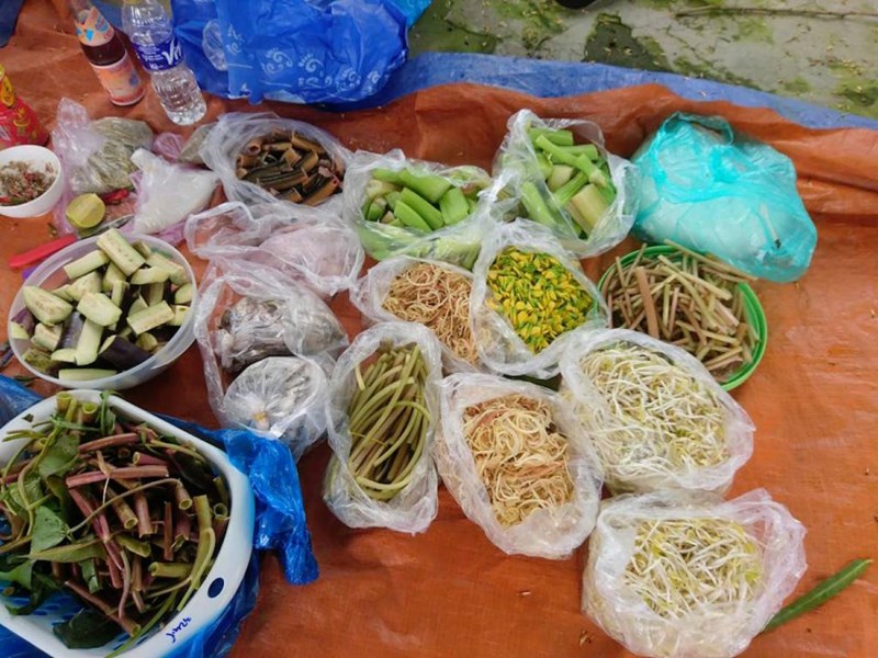 Sướng gì bằng ăn cá linh ngay đồng nước nổi - Ảnh 8. Sướng gì bằng ăn cá linh ngay đồng nước nổi - Ảnh 8.