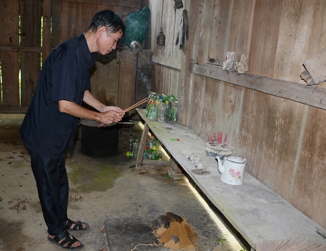 C&oacute; một rừng quế thi&ecirc;ng, thu hơn 500 tỉ mỗi năm - Ảnh 3.