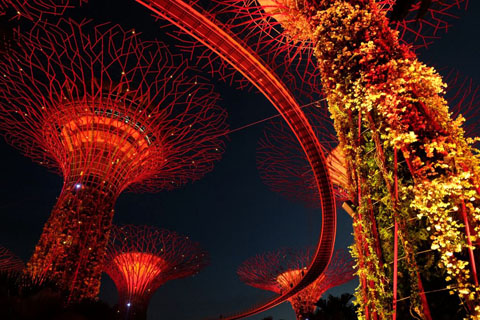 Gardens by the Bay - Thế giới diệu kỳ ở Singapore  - Ảnh 10.