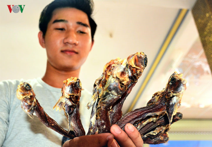 Câu cá thòi lòi ở rừng ngập mặn Cà Mau - Ảnh 10. Câu cá thòi lòi ở rừng ngập mặn Cà Mau - Ảnh 10.