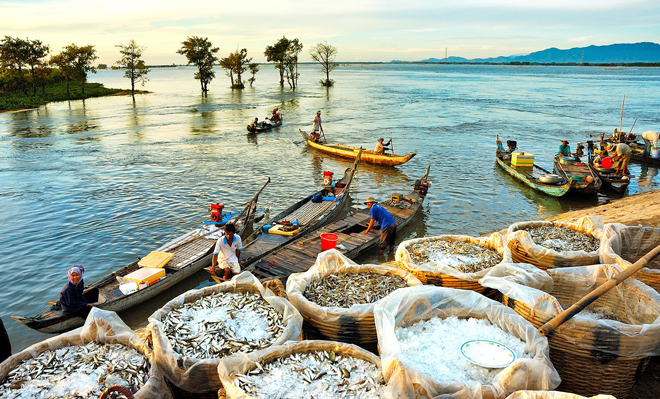 Ngao du toàn cảnh đời sống miền Tây mùa nước nổi - Ảnh 10. Ngao du toàn cảnh đời sống miền Tây mùa nước nổi - Ảnh 10.