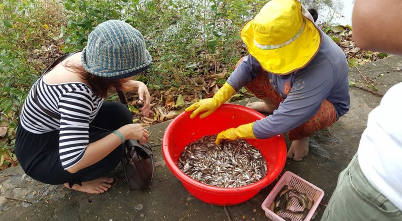 Sướng gì bằng ăn cá linh ngay đồng nước nổi - Ảnh 9. Sướng gì bằng ăn cá linh ngay đồng nước nổi - Ảnh 9.