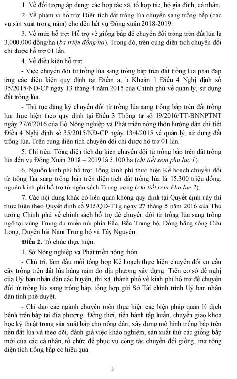 Nông dân chuyển đổi từ lúa sang bắp sẽ được “thưởng” - Ảnh 2.