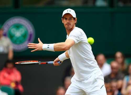 Murray thua sốc ở tứ kết, Djokovic bỏ cuộc - Ảnh 2.