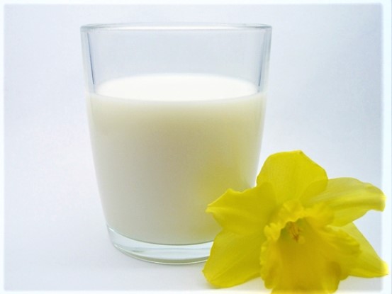 Giải khát cùng chanh dây sữa tươi - Ảnh 3. Giải khát cùng chanh dây sữa tươi - Ảnh 3.