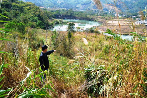 Thủy điện Chư Pông Krông sẽ lấy hơn 5 ha rừng đặc dụng Ảnh: Cao Nguyên