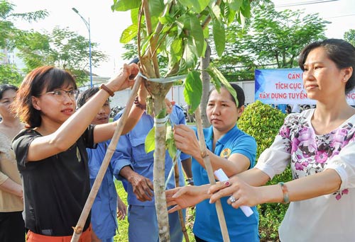 CNVC-LĐ trồng cây, bảo vệ môi trường - Ảnh 1.