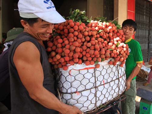 Cẩn trọng khi làm ăn ở nước ngoài - Ảnh 1.