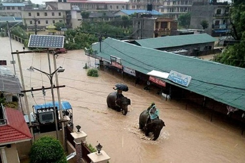 Nepal: Lũ lụt nghiêm trọng, người dân sơ tán bằng voi - Ảnh 1.