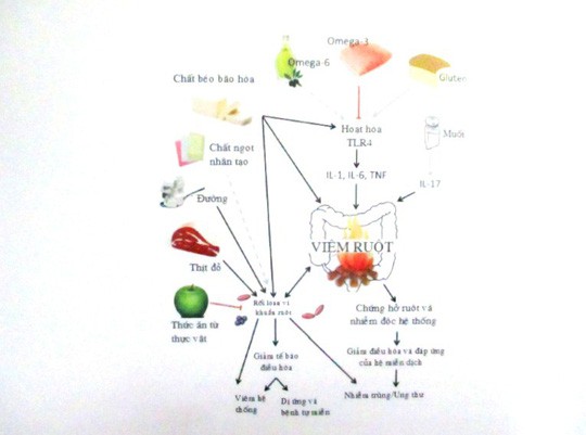 Cảnh báo bệnh liên quan đến tình dục và ăn uống  - Ảnh 2.