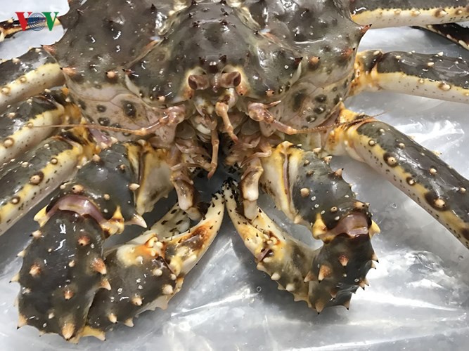 Đặc sản cua hoàng đế khổng lồ có gì hấp dẫn? - Ảnh 3.