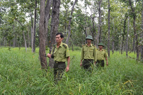 Gian nan cuộc chiến chống săn trộm - Ảnh 1.