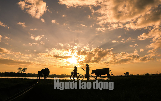 Một ngày trên phá Tam Giang - Ảnh 3.