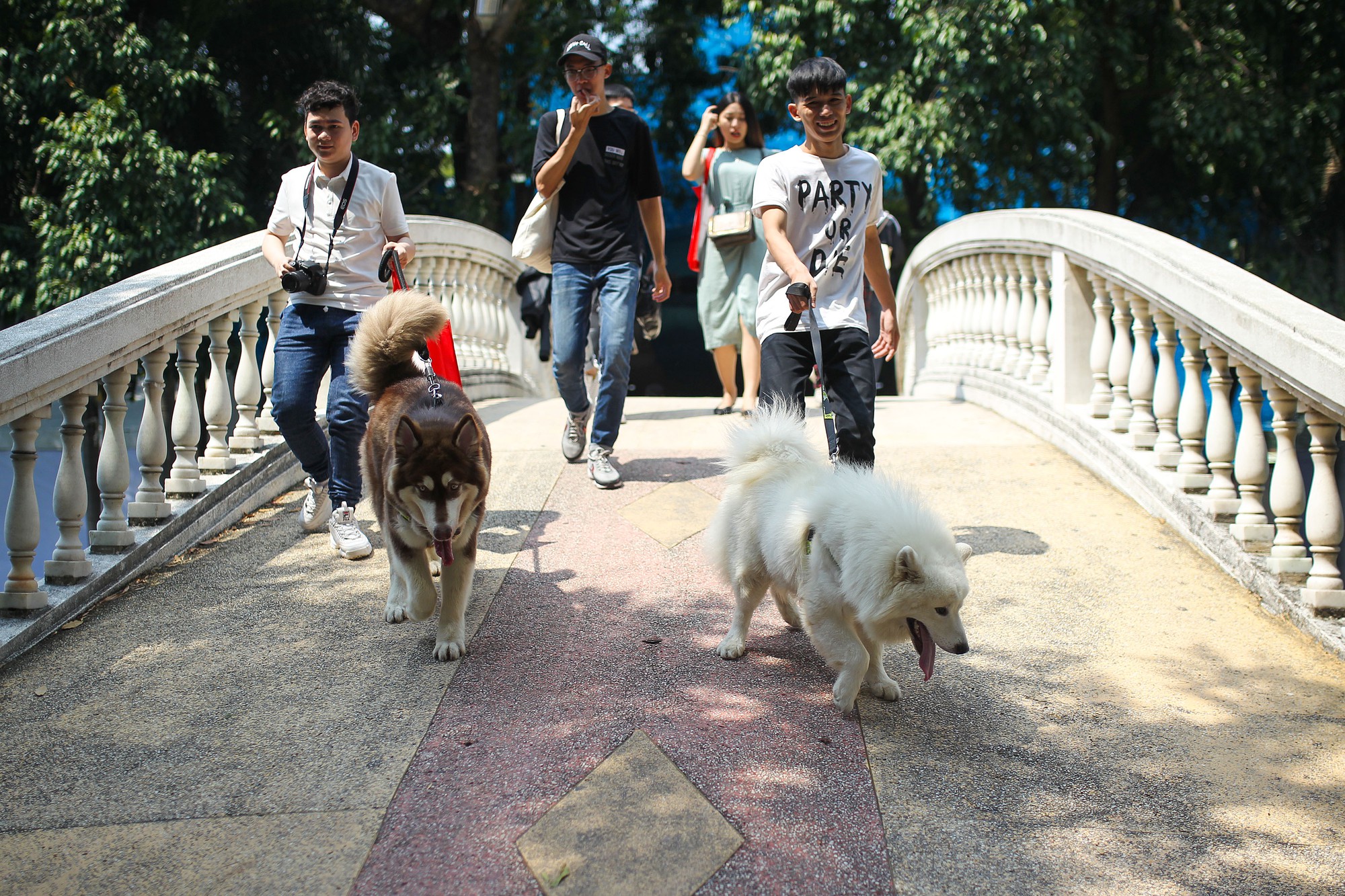 Độc đáo Lễ hội cún cưng Sài Gòn - Ảnh 4.