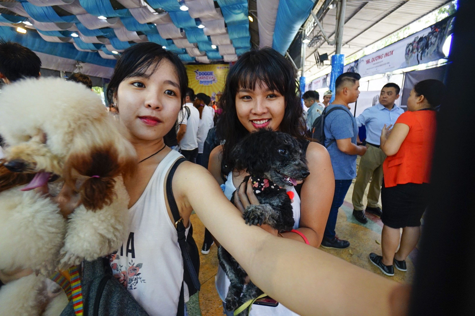 Độc đáo Lễ hội cún cưng Sài Gòn - Ảnh 2.
