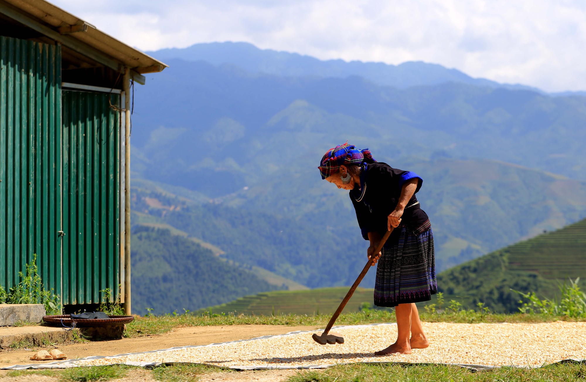 Đốn tim vẻ hư ảo mùa vàng ruộng bậc thang Tú Lệ - Ảnh 4.