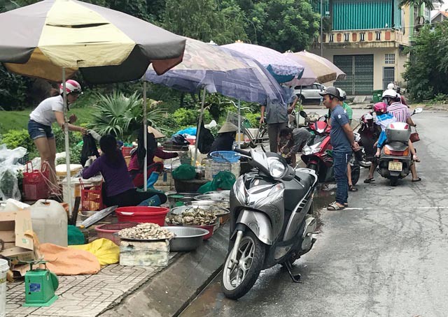 Đủ loại tôm, cá đồng tràn về đầu cầu Trà Khúc - Ảnh 1.