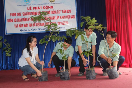 CNVC-LĐ hưởng ứng phong trào Gia đình trồng cây xanh - Ảnh 1.