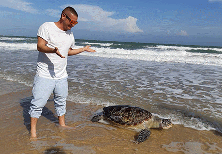 Đau xót chứng kiến rùa biển chết nghi do mắc bẫy khi vào bờ đẻ - Ảnh 2.